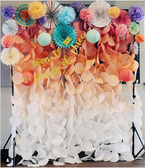 26Pc Deluxe Large Multicolor Party Decoration Set – Vibrant Tissue Paper Pom Pom