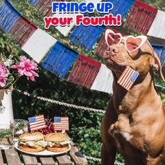 Reusable 24 Ft Red, White & Blue Metallic Fringe for Fourth of July Festivities