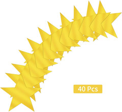 40 Pcs Metallic Star Cutouts Double Printed Paper Stars Decoration for Wedding M
