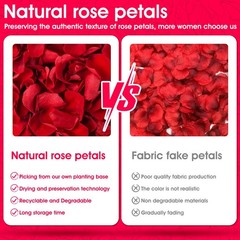 340 PCS Real Red Rose Petals, 3.17oz Dried Flower Confetti Petals for Wedding…