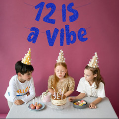 12 Is a Vibe Banner, Pre-Strung Glitter Blue 12Th Birthday Banner, Funny 12Th Bi