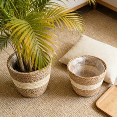 Lined Seagrass Wicker Basket Set 3 pcs 18cm 22cm 25cm for Indoor Outdoor Plants