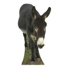Donkey Lifesize Cardboard Cutout / Animal Standee 130cm Tall *Damaged*