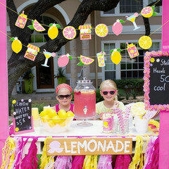 2Pcs Pink Lemonade Party Banners Lemon Citrus Garland, Summer Fruit Lemonade Sta
