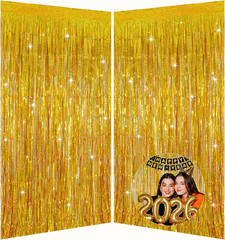 Pink Foil Fringe Curtains Party Decorations, 3.28X6.56Ft Sparkling Streamer Tins