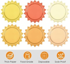 48 Pcs Boho Sun Paper Plates First Trip Around The Sunshine Disposable Plates