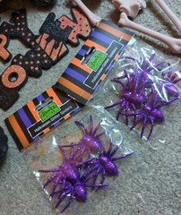 Halloween Bundle Decorations Plaque, Spiders, Skull & Skeleton Pumpkin.