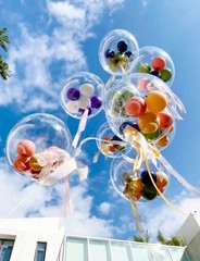 Bobo Balloons 24 Inch – Clear Bubble Balloon for Stuffing, 25 Pcs Transparent…