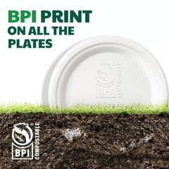 100% Compostable Paper Plates, 10 Inch, 125 Count, Biodegradable Bagasse Plat…