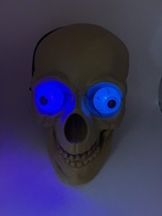Halloween Plastic Blow Mold Skull Light-Up Color Change Eyes Skeleton Head
