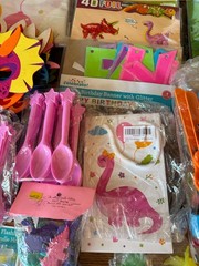 Dinosaur Birthday Party Lot Assorted Accessories Multicolor