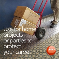RESILIA Low-Pile Carpet Runner – Non Slip 2’3″ x 12′ (Rectangular), Clear