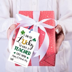 St Patricks Day Party Supply Lot 30pc Decor Set 50 Teacher Gift Tags Guinness