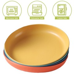 Dinner Plates Set of 4, 8 Inch Plastic 8 inches, 4 Stripe