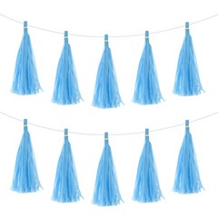 25Pcs Sky Blue Tassel Garland Banner with Rope