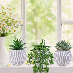 Winlyn 3 Pack Artificial Succulent Plants in Gray Geometric Concrete Green