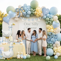 Silly Goose Party Decorations with Goose Banner, Bow & Blue Gingham Balloons,…