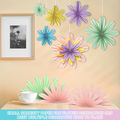 Paper Flowers Decorations for Wall, 9 PCS Paper Fans Party Decorations, Pastel