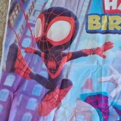 Spidey and His Amazing Friends 3x5ft Happy Birthday Backdrop Banner Party