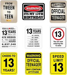 13Th Birthday Party Decorations – 9PCS Wall Signs Funny Tags for Teenagers 13 Ye