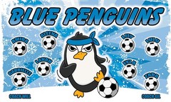 Penguins -Soccer Team Banner – (3ft x5ft) Your Team Name and Custom Design
