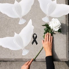 Dove Memorial Balloon for Release, Biodegradable Funeral Remembrance Angel