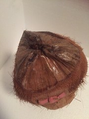 9” Hawaiian Coconut Shell Maraca Woman Musician Tiki Bar Luau Party