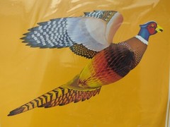 26″ Flying Pheasant Thanksgiving Autumn Honeycomb Decoration 1979 Beistle Unused
