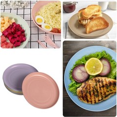 Wheat Straw Plates Lightweight Unbreakable Dinner Small, Small Multicolour