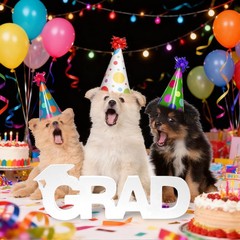 White Large Grad Senior 2026 Graduation Sign Photo Booth Props Centerpieces
