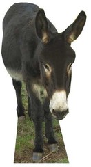DONKEY – LIFESIZE CARDBOARD CUTOUT / STANDEE