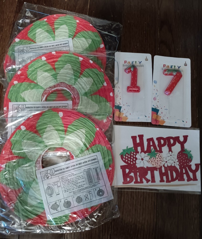 Strawberry Birthday Party Decoration Supplies