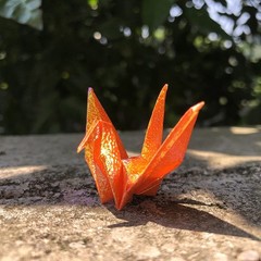 100Pcs Iridescent Premade Origami Birds Cranes Folded 1000 Japanese Cranes Mo…