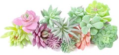 WOHSEROM 12 Pack Realistic Flocked 1-3 inches, As Shown in the Picture