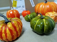 ADQUATOR Artificial Pumpkins 7 Pieces Orange Green Autumn Decoration Plastic New