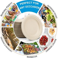 6 Inch Small Paper Plates Disposable – Biodegradable Compostable Appetizer Pl…