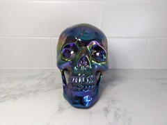 Halloween Skull Oil Slick Multicoloured Crazy Bonez Halloween Decor Prop