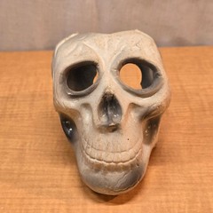 Plastic Human Skull Small 5″ Decoration Halloween Gothic