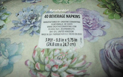Cactus Succulent 40 Paper Napkins Beverage Cocktail – 3 Ply – USA Made