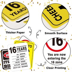 16th Party Decorations – 9PCS Happy 16 Years Old Party Decor Wall Signs Funny…