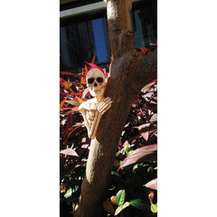 4 3/4″ Skeleton Tree Peekers Plastic Halloween Decoration – Morris Costumes
