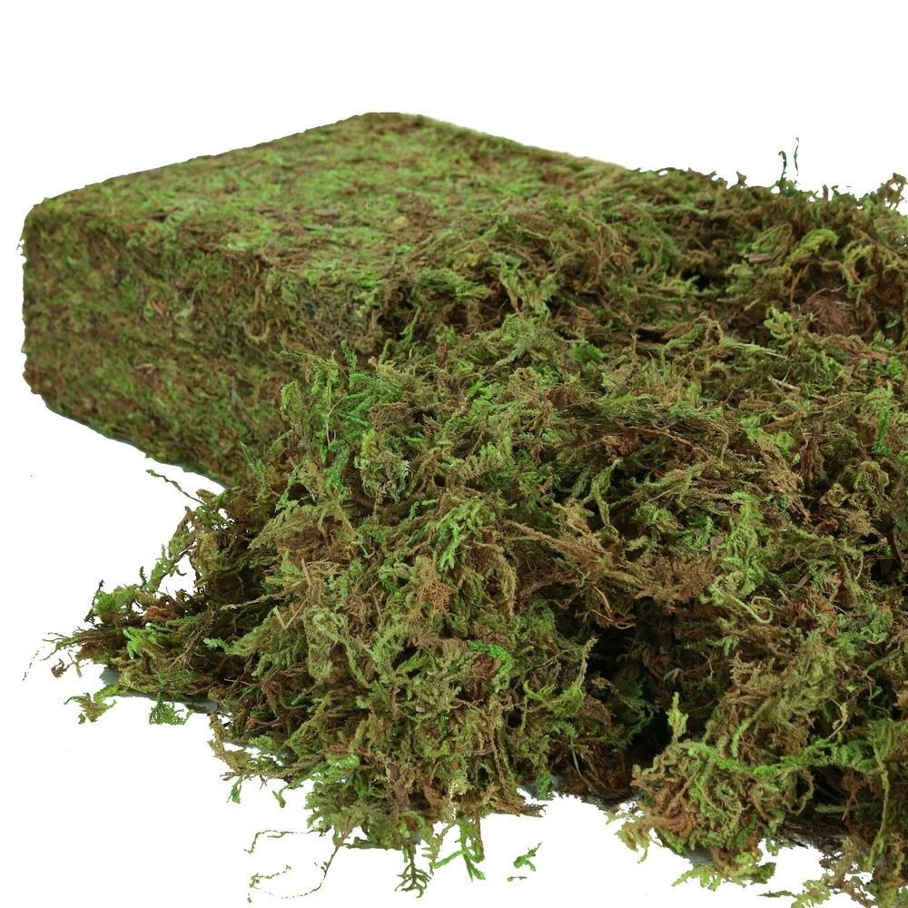 USMOLA Artificial Moss for Indoor Plants, 16OZ 10x7x4 inches, Natural Green
