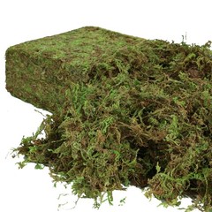 USMOLA Artificial Moss for Indoor Plants, 16OZ 10x7x4 inches, Natural Green