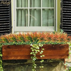 Phliofd 6Pcs Artificial Grass Fake Plants 17.3in Outdoor Plastic 6 Pcs, Red