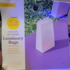 Sun Squad Luminary Bags
