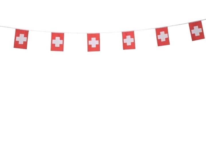 114Pcs Switzerland Flag 150 Feet Switzerland Pennant String Banner Polyester NEW