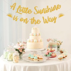 Boho Sunshine Baby Shower Decorations – A Little Sunshine is on the Way Banne…