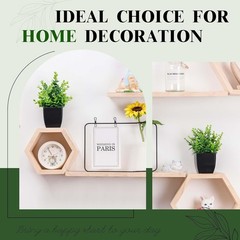 2 Pack Small Fake Plants Black Bathroom Accessories for Home Bedroom