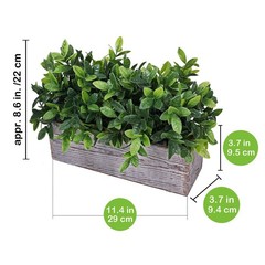 Winlyn Artificial Eucalyptus Plant in Rustic 8.6″ x 11.4″ x 3.7″, Green