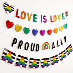 4 Pack Ally Pride Month Banner Decorations Sets, Gay Lesbian Rainbow LGBT Han…